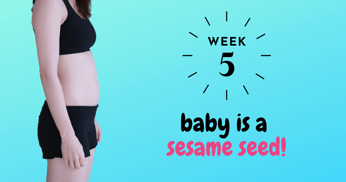 5-weeks-pregnant-bumpdate-baby-is-a-sesame-seed