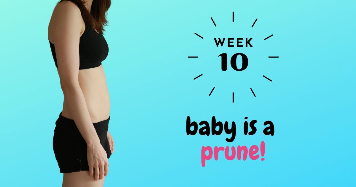 10 weeks pregnant update (bumpdate). Everything you want to know about 10 weeks pregnant such as what to focus on, action items, to-do lists, first appointment, baby heartbeat, midwife, pregnancy clothing, finding parenting books, make a pre-baby project to-do list for the nursery and the house, morning sickness tea, maternity finds, baby carrier, Moby carrier. Week by Week Pregnancy Guide. Perfect for first time mom #firsttrimester #10weekspregnant #pursuetoday
