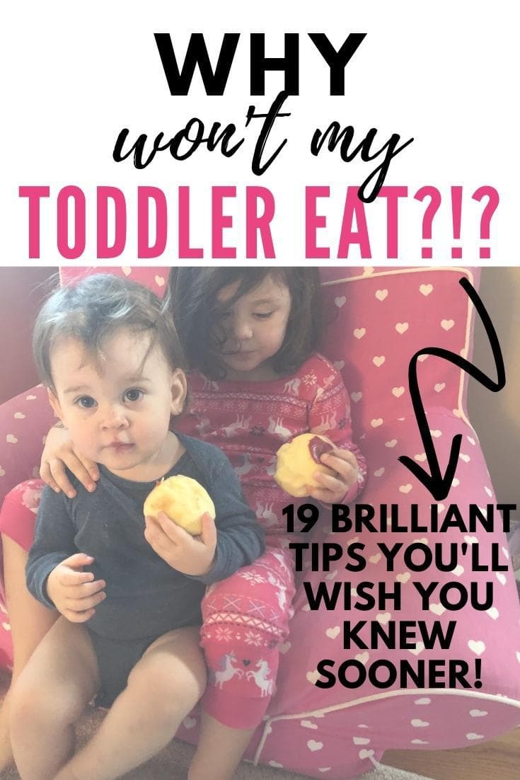 why wont my toddler eat, picky toddler eater